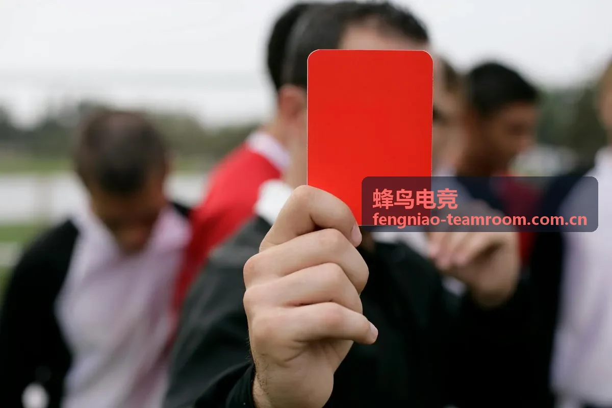 蜂鸟电竞赛事内容观察